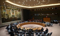 联合国安理会讨论科索沃问题