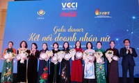 越南在性别平等领域取得的成功