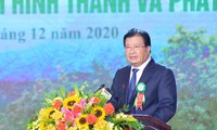 越南力争2025年林产出口额达180亿至200亿美元