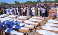联合国谴责对尼日尔西部村庄的袭击
