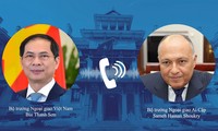 越南和埃及同意促进双边合作关系