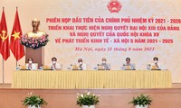 越共中央总书记阮富仲：政府精简组织机构，有效活动，实现可持续发展