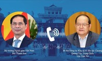 加强越南各地与中国广西的友好合作