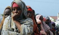 越南呼吁为索马里妇女在该国政治进程中发挥作用创造条件
