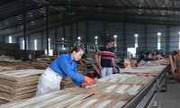 英国市场研究公司：越南2022年制造业产量和订单数量增长强劲