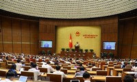 越南15届国会3次会议第三个工作周：进行质询和回答质询活动