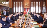 越南和匈牙利关系发展潜力和空间巨大