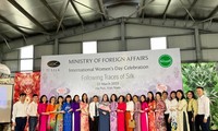 值三八国际妇女节之际，外交部举行与女外交官会晤