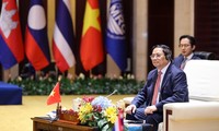 越南——湄公河委员会合作机制的积极成员