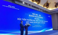 越南与中国海南省促进贸易、投资和经济合作