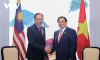 越南和马来西亚促进战略伙伴关系