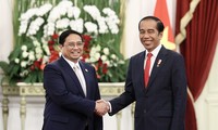 越南和印尼力争2028年将双边贸易额提升至150亿美元