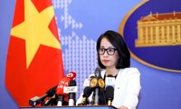 越南强烈谴责针对加沙地带平民的暴力袭击