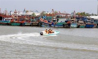 越南政府总理指导集中采取紧急措施  打击非法捕鱼