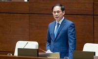 越南外交部门继续促进贸易投资协定实施