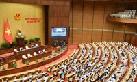 越南15届国会7次会议质询四组问题
