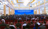 中国举行和平共处五项原则发表70周年纪念大会