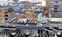 2024年越南皮革鞋类出口预计达到260亿至270亿美元