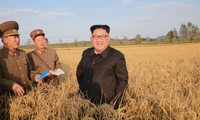  Pyongyang ne montrait  aucun signe d’intérêt» pour un dialogue