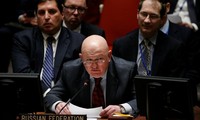 ONU: la Russie s'oppose à un cessez-le-feu humanitaire en Syrie