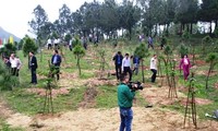 Thua Thien-Hue: des arbres plantés pour le printemps