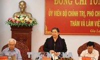 La vice-présidente de l’Assemblée nationale Tong Thi Phong à Gia Lai