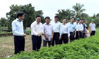 Déplacement du vice-Premier ministre Vuong Dinh Huê à Diên Biên 