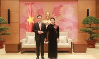 Nguyên Thi Kim Ngân: le Vietnam prend pour sien le succès des entreprises sud-coréennes