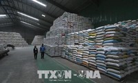 L’Égypte va importer 1 million de tonnes de riz du Vietnam