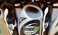 RoundUp et cancer : Monsanto condamné à payer 80 millions de dollars à un plaignant 