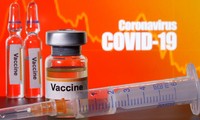 L’Union mondiale des experts vietnamiens participe à la lutte contre l’épidémie de Covid-19