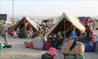 Afghanistan: un risque de famine “imminent”, s'alarme l'ONU