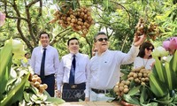 Promouvoir le longane de Hung Yên auprès des importateurs étrangers