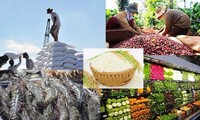 Baisse des exportations des produits agricoles, sylvicoles et aquatiques en janvier