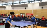 Journée sportive des Vietnamiens en Europe