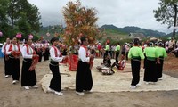 Comment le Vietnam préserve et développe-t-il ses danses traditionnelles?