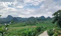 Hà Giang: Un modèle de réussite en matière de reboisement et de développement durable