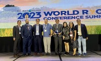Le riz vietnamien ST25, champion du monde pour la deuxième fois