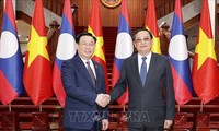 Vuong Dinh Huê rencontre le Premier ministre laotien