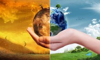 COP-28: près de 800 millions de dollars pour lutter contre les maladies tropicales liées au réchauffement planétaire