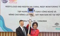 L'Australie soutient le Vietnam dans la protection des coraux face au réchauffement climatique