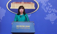 "Vietnam solves East Sea dispute with peaceful measures"