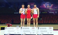 Vietnam wins gymnastics gold at Asian championships