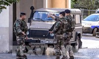 Suspect arrested for car attack in France