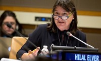 UN special rapporteur on food security to visit Vietnam 