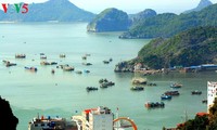 Visitors to Cat Ba hit two millionth mark in 2017