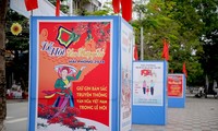 Red Flamboyant Flower Festival 2018 underway in Hai Phong