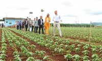 Vietnam, Netherlands to cooperate on assuring sustainable agriculture and food security