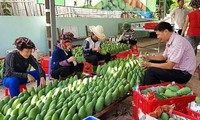 Garment, fruit and vegetable exports sharply increase