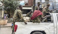 United Nations calls for immediate end to fighting in Ethiopia
